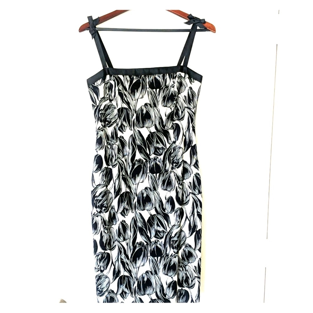 Kathlin Argino Dress sz 6